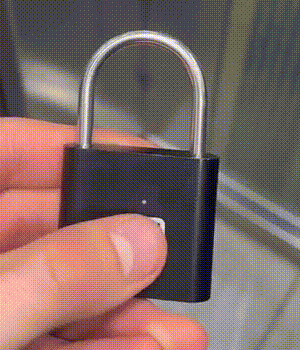 Lacătul Minune cu Amprentă