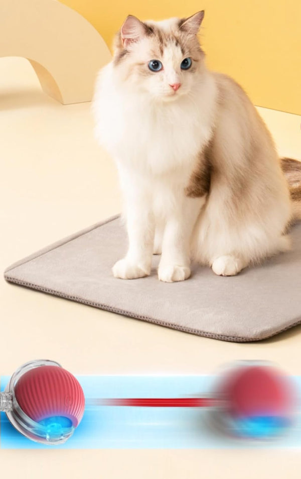 Bila Smart pentru Pisici și Câini