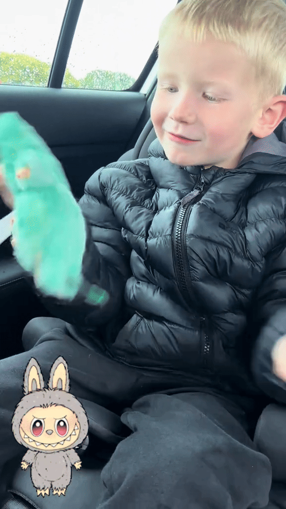 Jucărie Adorabilă și Colectibilă